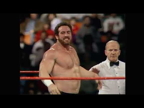 WWF: More Than Just Wrestling | Vibepedia