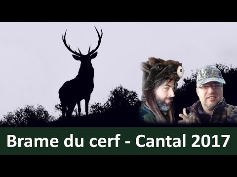 Brame du cerf Cantal 2017 avec l'ami Philippe