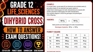 Grade 12: Dihybrid Cross EXAM Question (Explained) (FULL MARKS) Genetics | Life Sciences