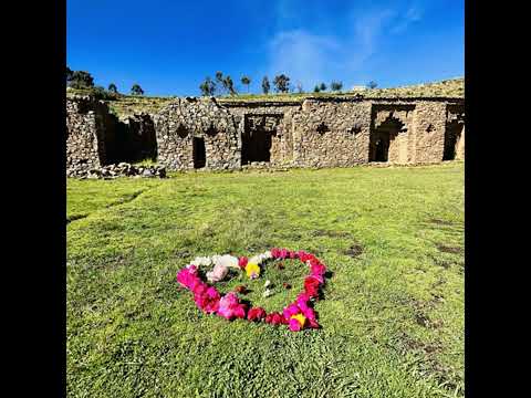  - 保護台灣大聯盟 - 政治文化新聞平台