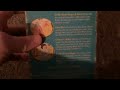 Little Bear Little Bear S Band 2000 VHS Review