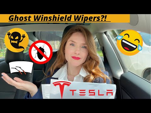 Crazy TESLA Ghost Bug DISCOVERED! (Bloopers included!)