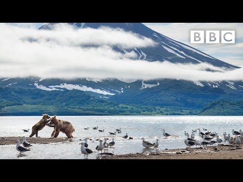 Video trailer för A Perfect Planet: Prequel | New David Attenborough Series @BBC Earth - BBC
