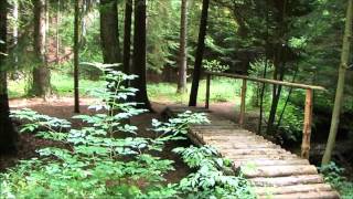 Bratři - Pojedem dál