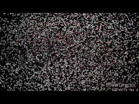 Papichon je me présente