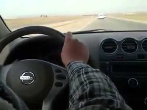 Avalon u Maxima - kurdistan