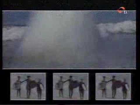 Tropical Heat theme- Anyway The Wind Blows