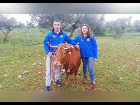 Gracias a la Peña Taurina de Santorcaz.