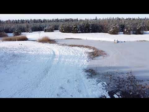 Oakenshaw Nature Reserve on 15/01/21