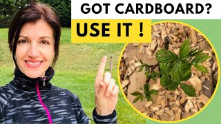 CARDBOARD IN GARDEN - Can I Use Cardboard in My Garden?