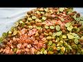 How New Zealand Kiwis Are Bred To Perfection Farming Documentary