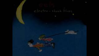 eels electro shock blues lyric video
