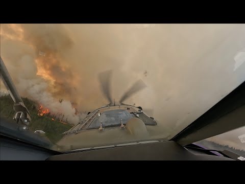 The Best Job in the World - Part II