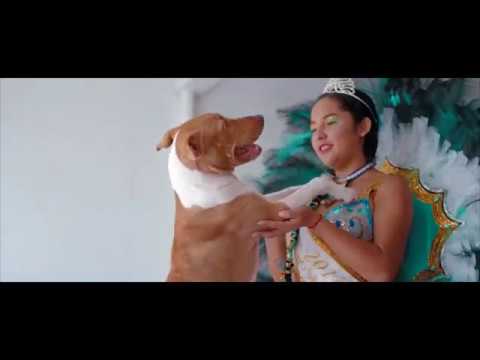 Bacondo - Supay Raymi (Official Video)