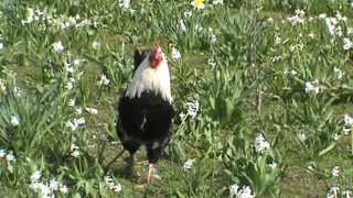 A 7-a evadare - Capitolul 2