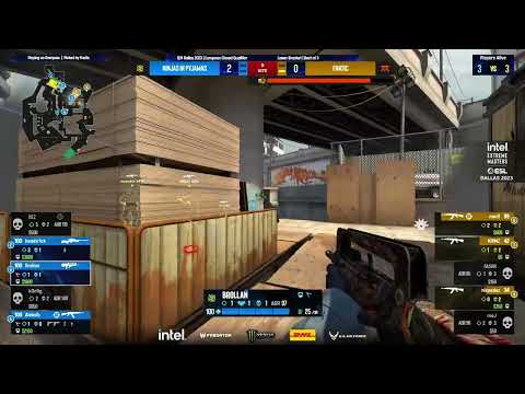 Brollan Has Potential