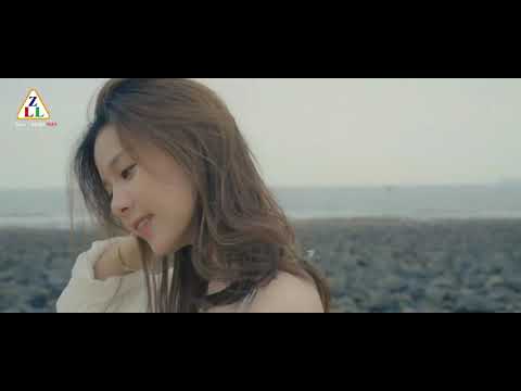 ZLL SG907 MAX 5G Wifi GPS FPV 4K Camera RC Drone with 3-axis Gimbal Brushless Motor