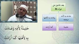 صورة شرح نظم الأرجوزة الميئية مع التشجير //7 //الشيخ محمد محمود الشنقيطي