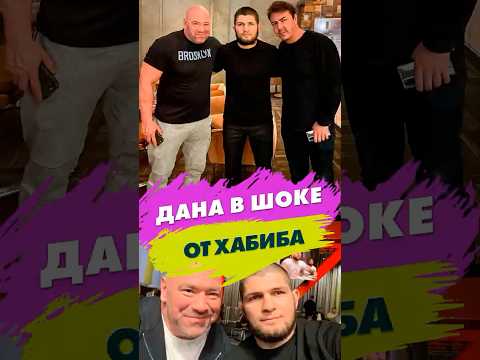 ВЕЛИЧИЕ ХАБИБА! Дана Уайт поражён его «Фабрикой чемпионов»