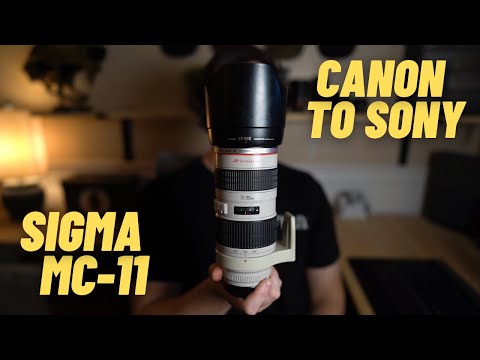 Using Canon EF lenses on Sony A7III with Sigma MC-11