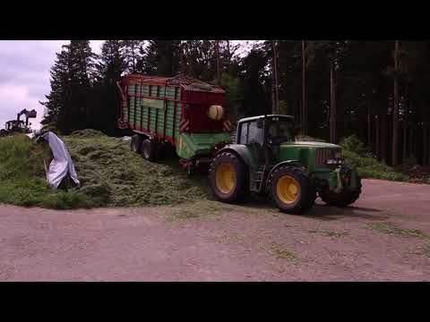 Silieren 2023 | John Deere 6820 | MF 5445