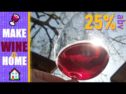 Make 25% ABV Wine at Home! 🍷🏠