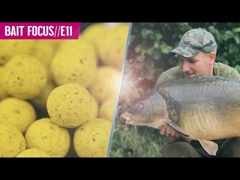Mainline Baits - All you need to know