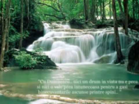 Grupul Mesia-Pribegi ca Moise prin pustie