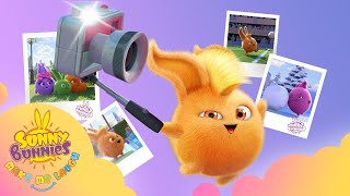 Download lagu Sunny Bunnies Make Me Laugh - SELFIE | NEW SEASON 1 | Kids Cartoons mp3