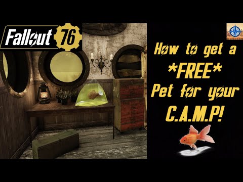 Fallout 76: How to get a *FREE* Pet for your C.A.M.P.!