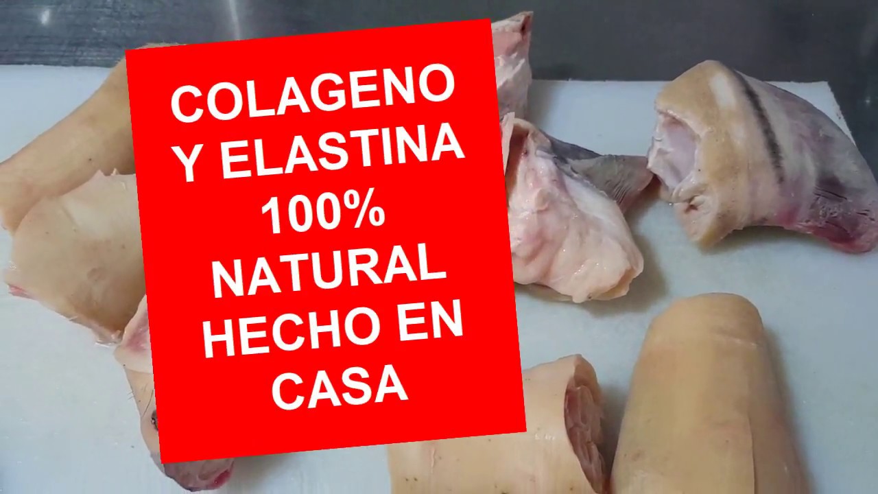 Watch COLÁGENO Y ELASTINA 100% NATURAL, HECHO EN CASA ( I PARTE) Now COLÁGENO Y ELASTINA 100% NATURAL, HECHO EN CASA ( I PARTE)