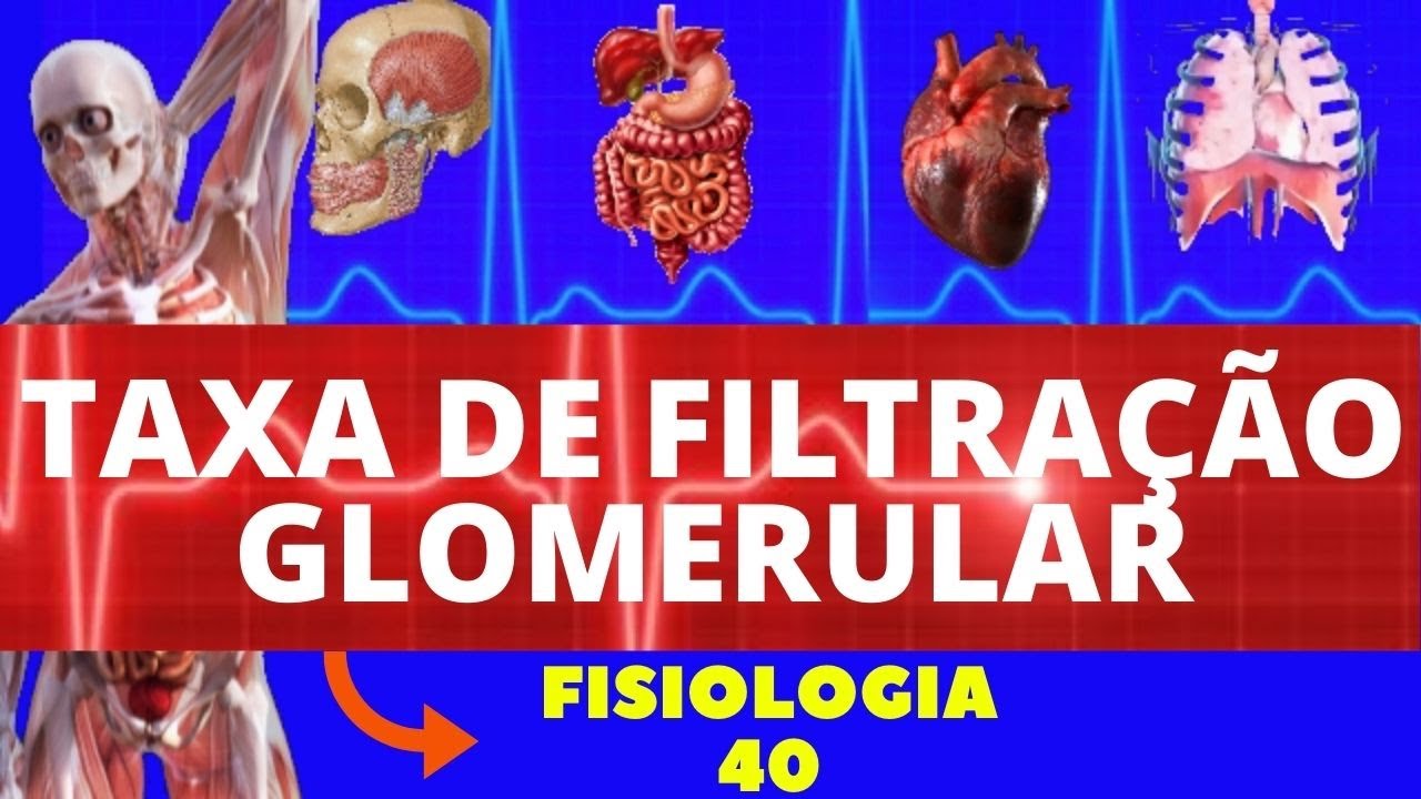 TAXA DE FILTRAÇÃO GLOMERULAR ( FISIOLOGIA HUMANA) - FISIOLOGIA RENAL - FISIOLOGIA DE GUYTON