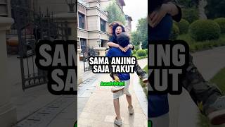 Download lagu Udah gede masih takut anjing mp3