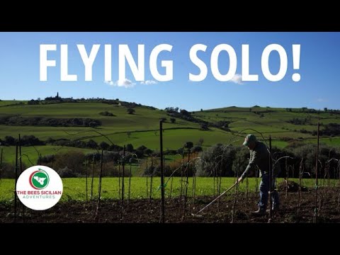 From Vineyard to Valley: New Projects on the Sicilian Farm