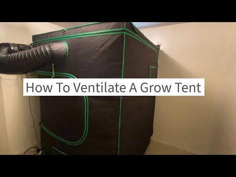 How To Ventilate A Grow Tent Made Easy