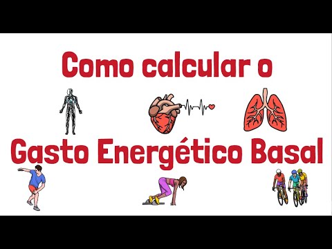 Como calcular Gasto Energetico Basal  Nesse vídeos vou mostra passo a passo