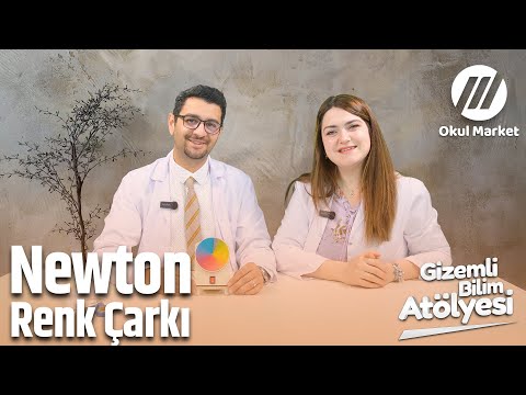 Newton Renk Çarkı ve Elektrikli Döner Motor Projesi