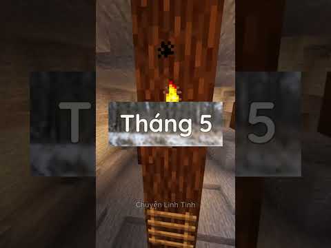 Thú cưng ưa thích của 12 tháng sinh :)