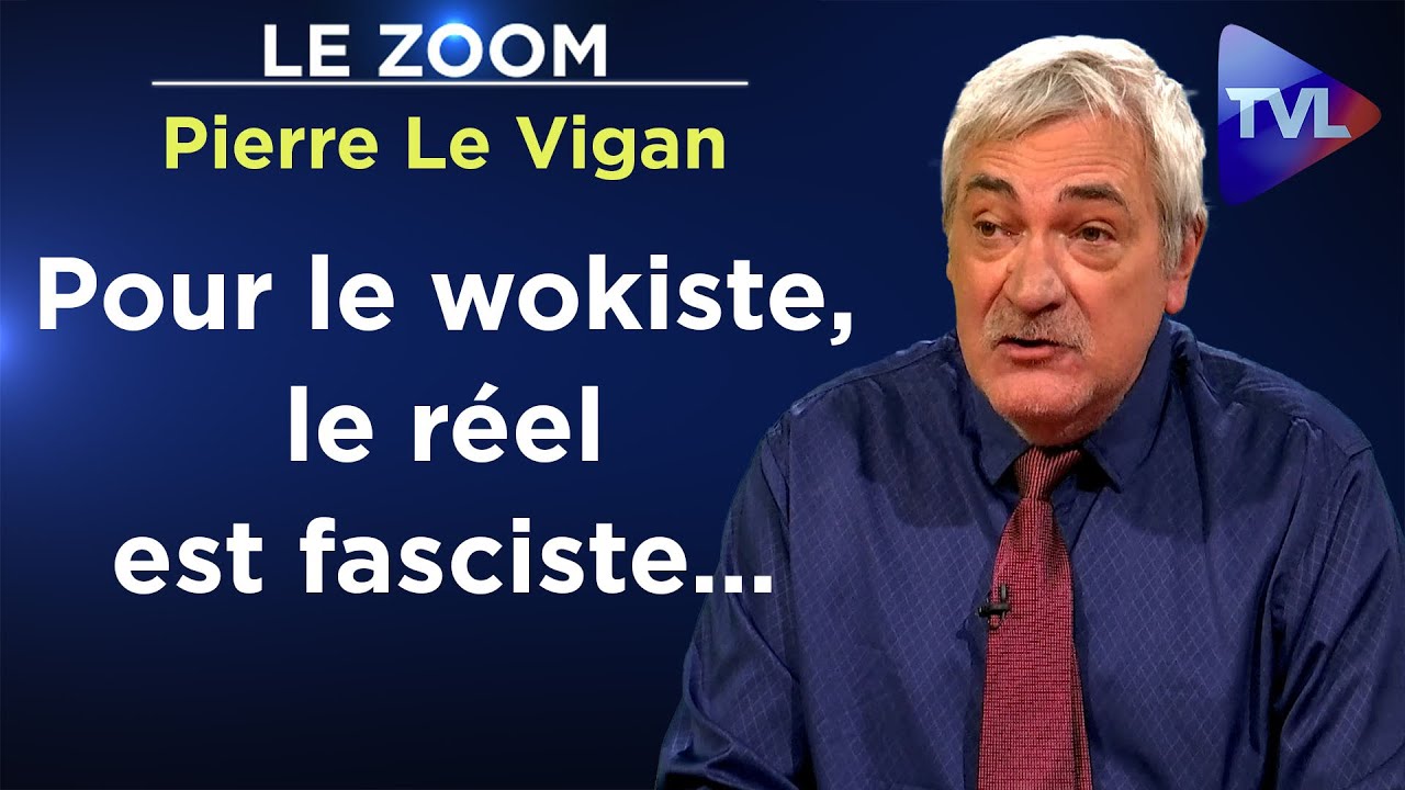 Wokisme : une expérience pour vous domestiquer - Le Zoom - Pierre Le Vigan - TVL