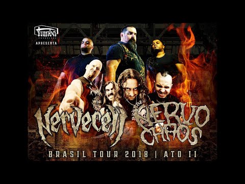 NERVECELL: Brazil Tour 2018 Diary