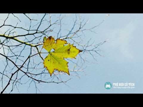 Yêu em đừng để ngày mai Sheet - La Công