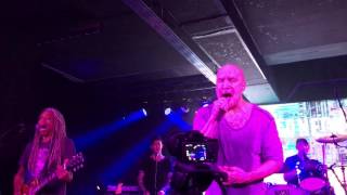 Dan Reed Network Champion