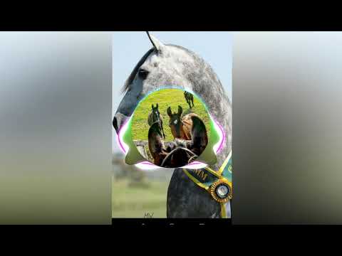 Trio Parada Dura, part Maiara e Maraísa Controle Remoto