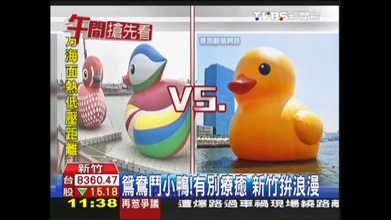 鴛鴦鬥小鴨!有別療癒 新竹拚浪漫