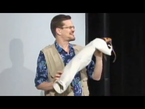 download lagu mp3 mp4 Lucas Miller, download lagu Lucas Miller gratis, unduh video klip Lucas Miller