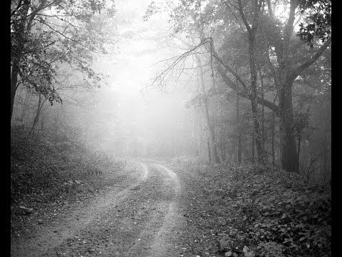 As Tears Go By - Bill Frisell & Petra Haden