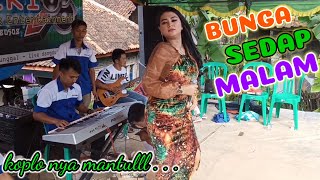 Download lagu BUNGA SEDAP MALAM Sesedap Suara Nk Adell Dangdut K... mp3