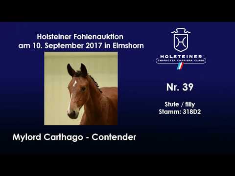 Nr. 39 v. Mylord Carthago - Contender