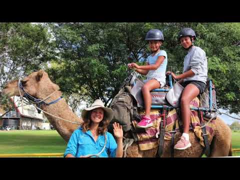 Summer Land Camels