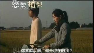 戀愛植男電影劇照1
